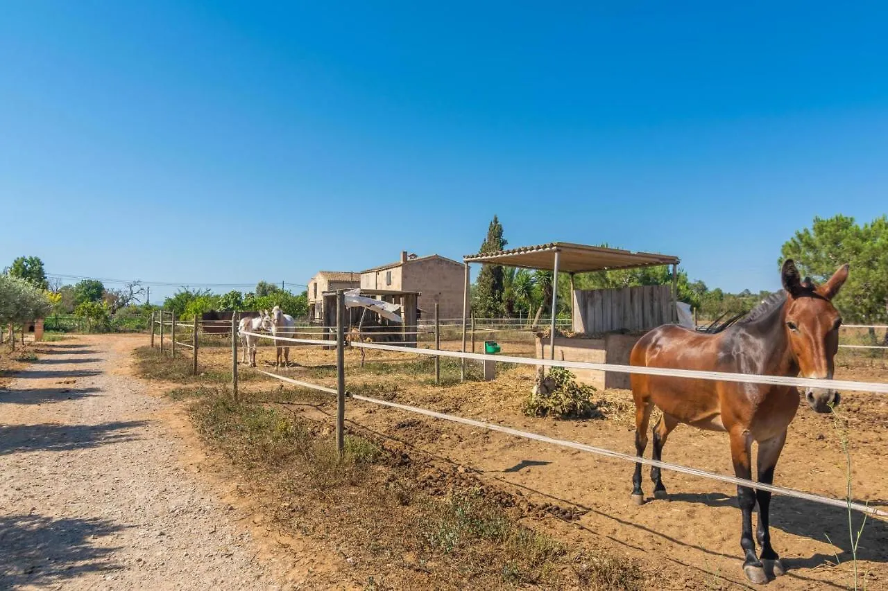 Chalet Villa Lo den Creus à Campos  Espagne